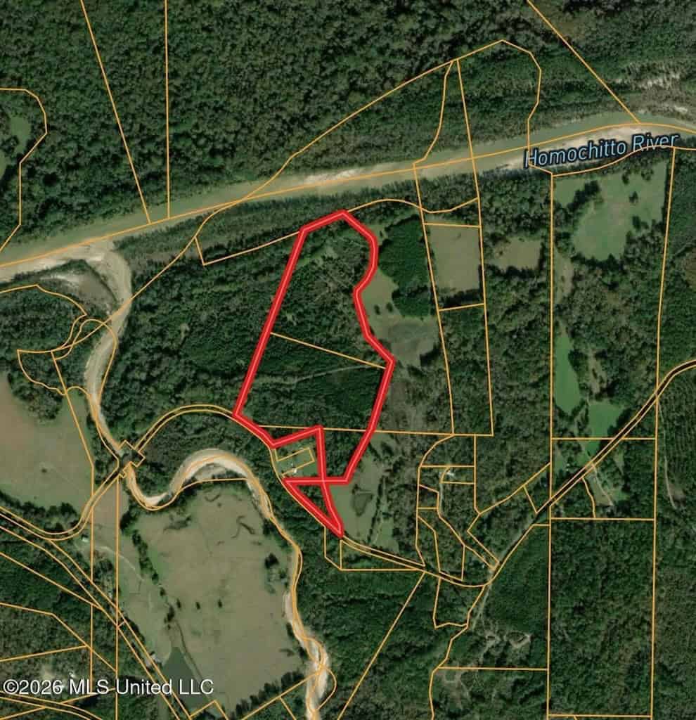 57 Acres Hunting Land for Sale in Gloster MS