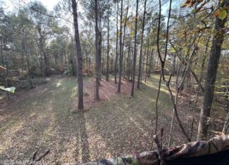 98± Acres in Natchez, MS on Second Creek