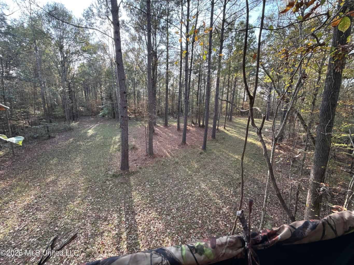 98± Acres in Natchez, MS on Second Creek