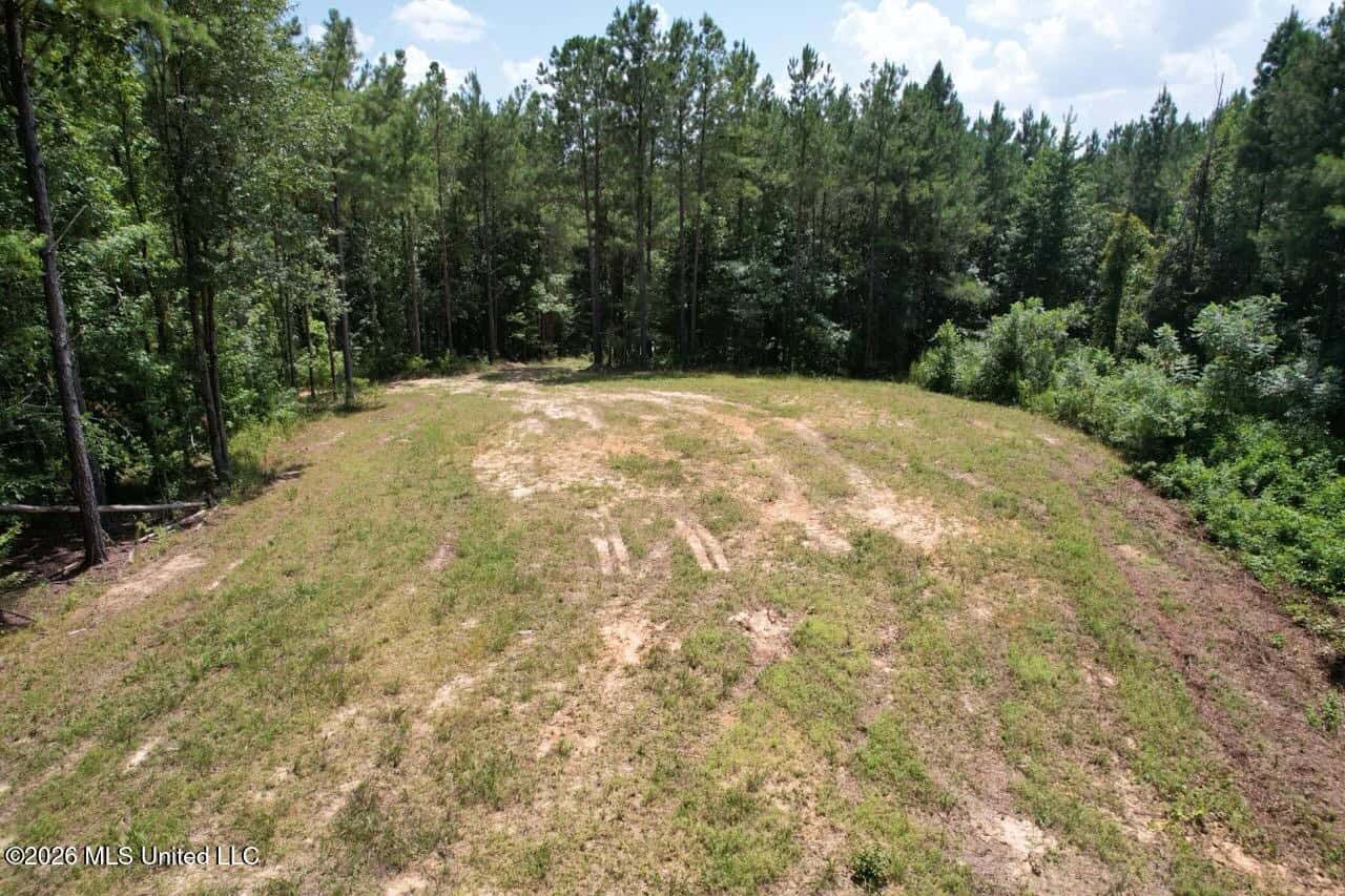11± Acres in McCall Creek, MS with Creek Frontage