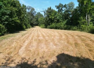 375± Acres in Jefferson County, MS Near Natchez Trace