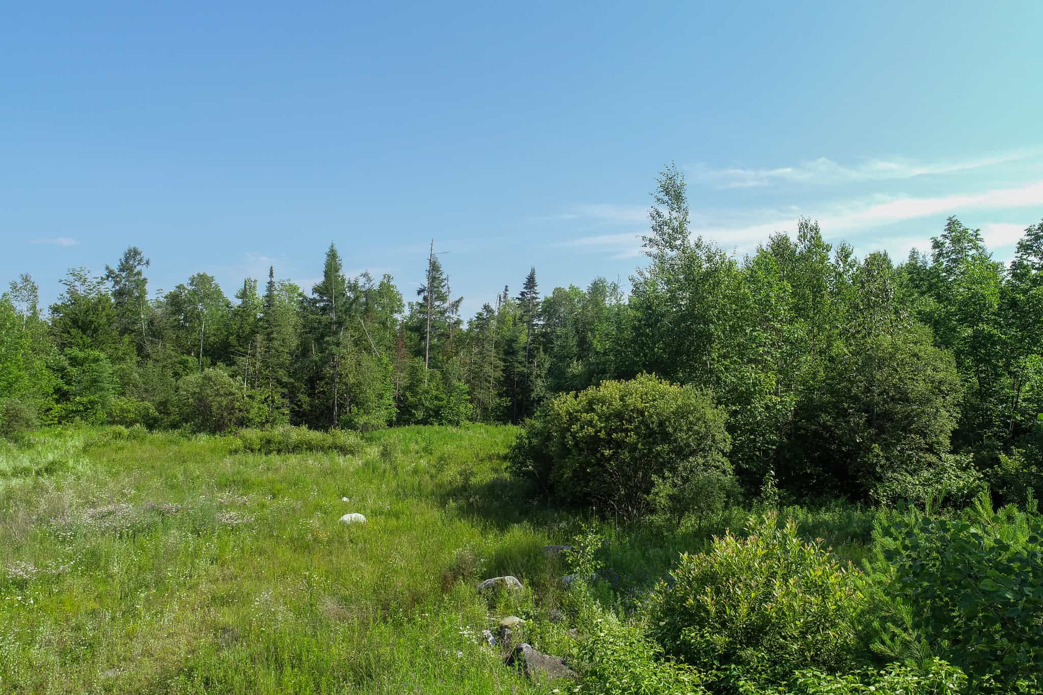90 Acre Parcel with Potential – Corinth, Maine