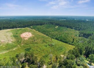 67 Acres of Rolling Pastureland and Timber