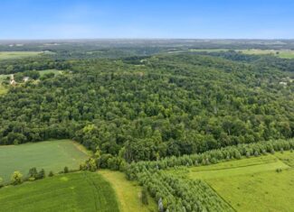 47± Acre Hunting Property with Cabin | Vernon County, Wisconsin