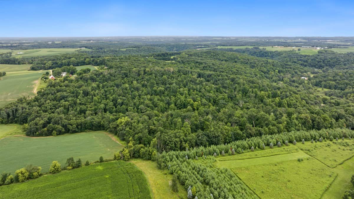 47± Acre Hunting Property with Cabin | Vernon County, Wisconsin