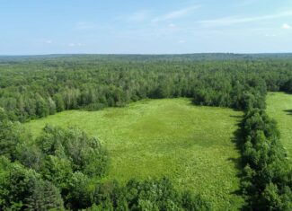 90 Acre Parcel with Potential – Corinth, Maine