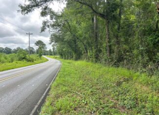 Tuckers Crossing 31 – Land for Sale Jones County, MS