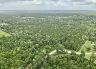 130 Acres on the Chipola River | Hunting, Fishing & Recreation