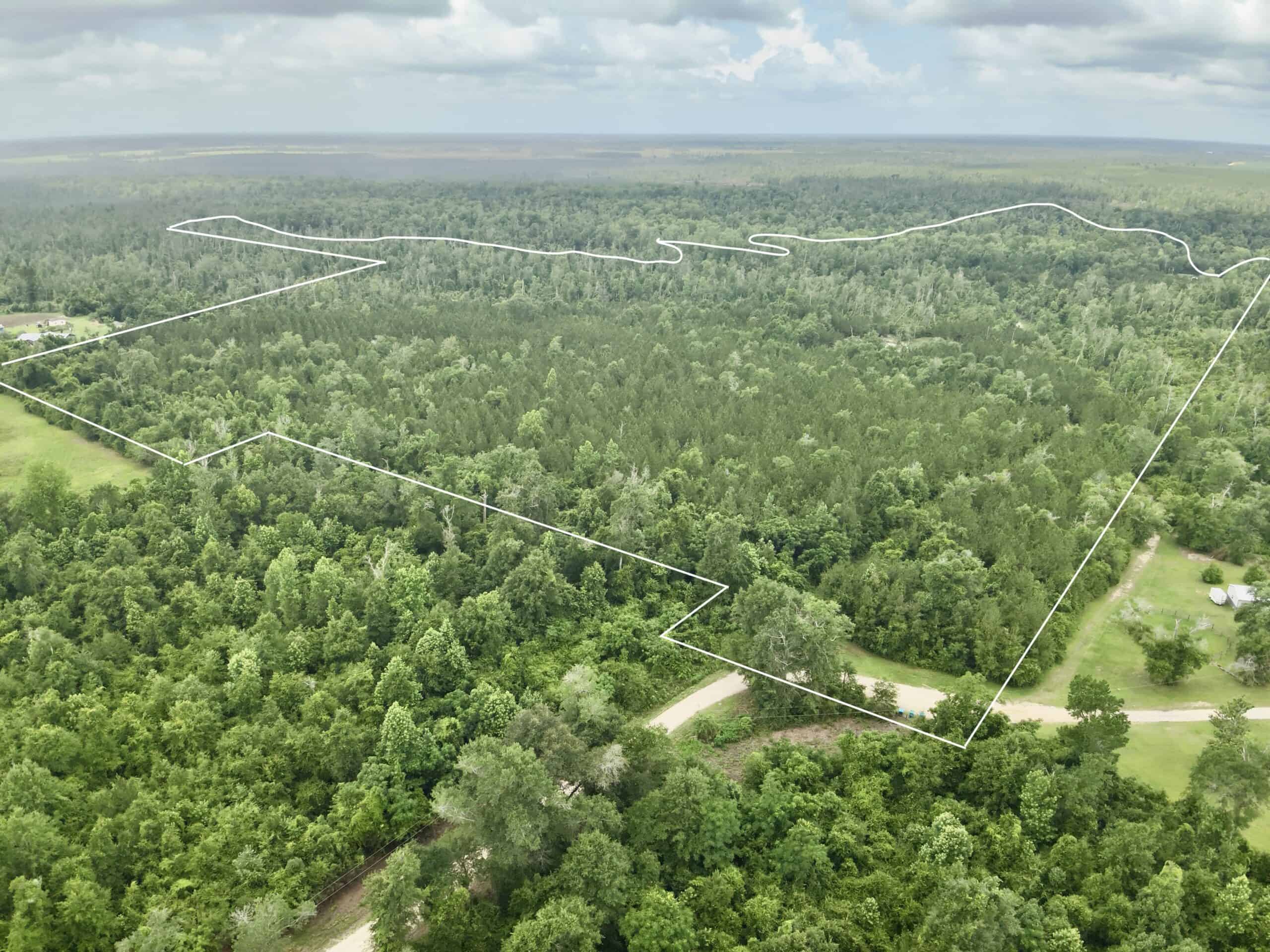 130 Acres on the Chipola River | Hunting, Fishing & Recreation