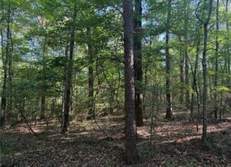 Hunting Property with Hwy and Creek Frontage