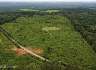 63.75 AC Amite County, MS Hunting Property