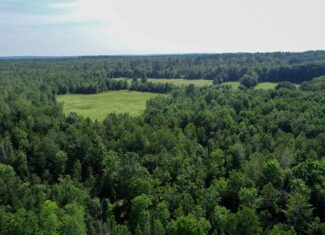 90 Acre Parcel with Potential – Corinth, Maine