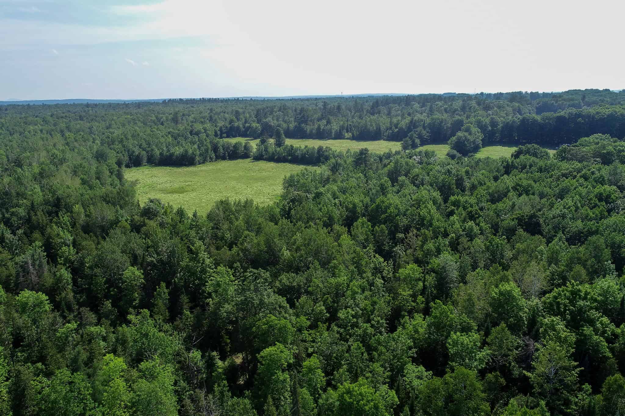 90 Acre Parcel with Potential – Corinth, Maine