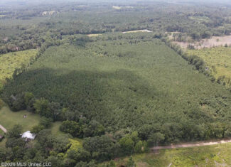 37 Acres for Sale in Morton, MS | Wooded Land