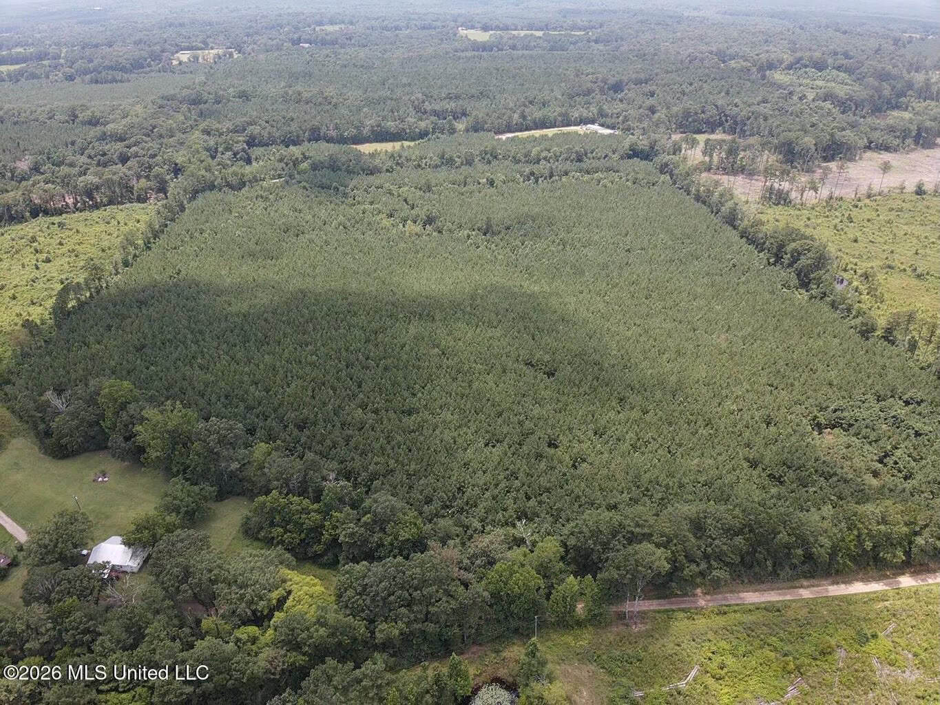 37 Acres for Sale in Morton, MS | Wooded Land