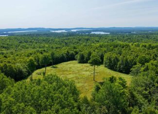 80 Acres of Maine Land Bordering 900 Acres of Public Land