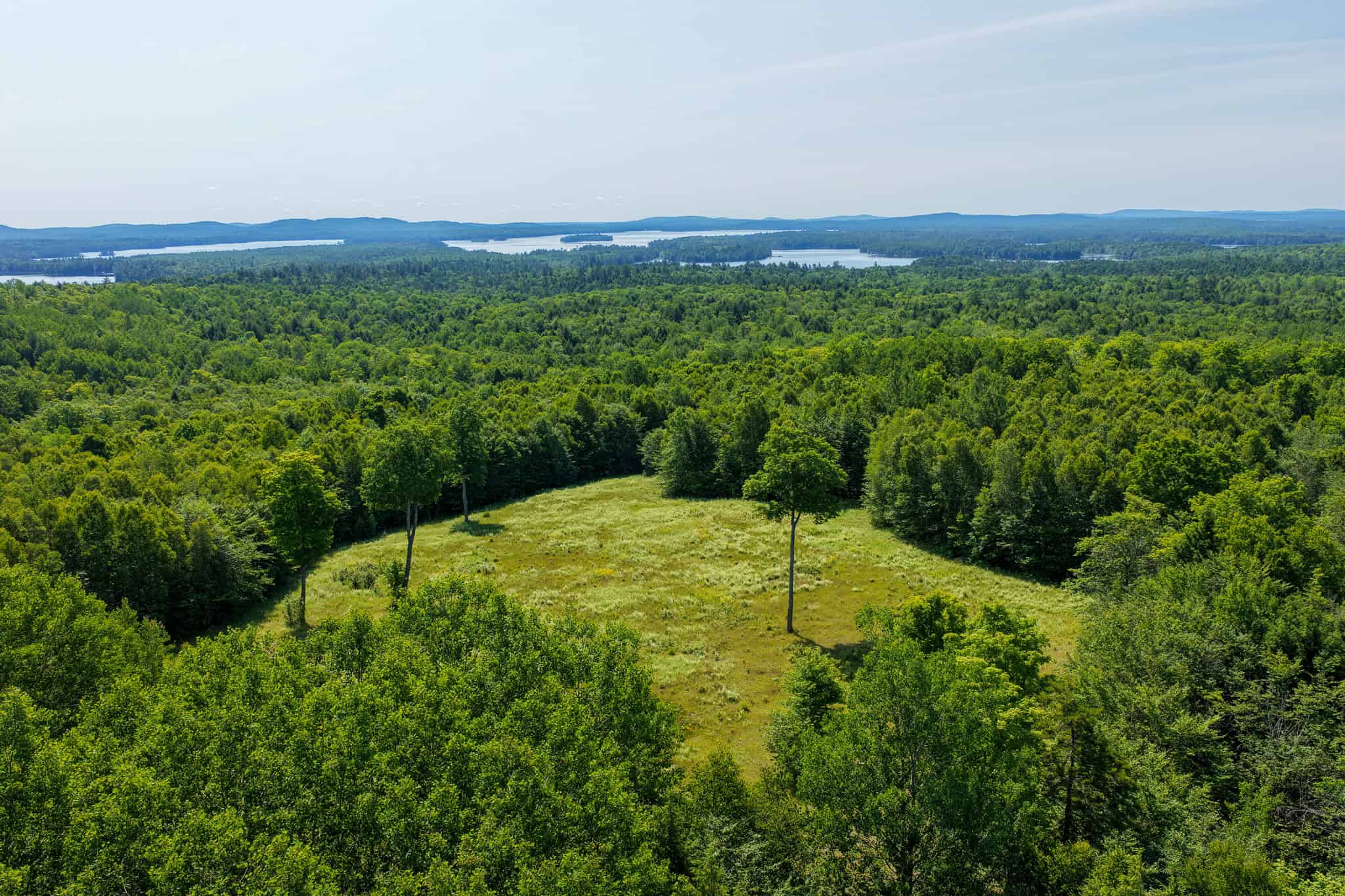 80 Acres of Maine Land Bordering 900 Acres of Public Land