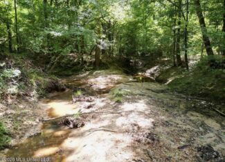45± Acres in Aimwell, LA with Ford Creek Frontage