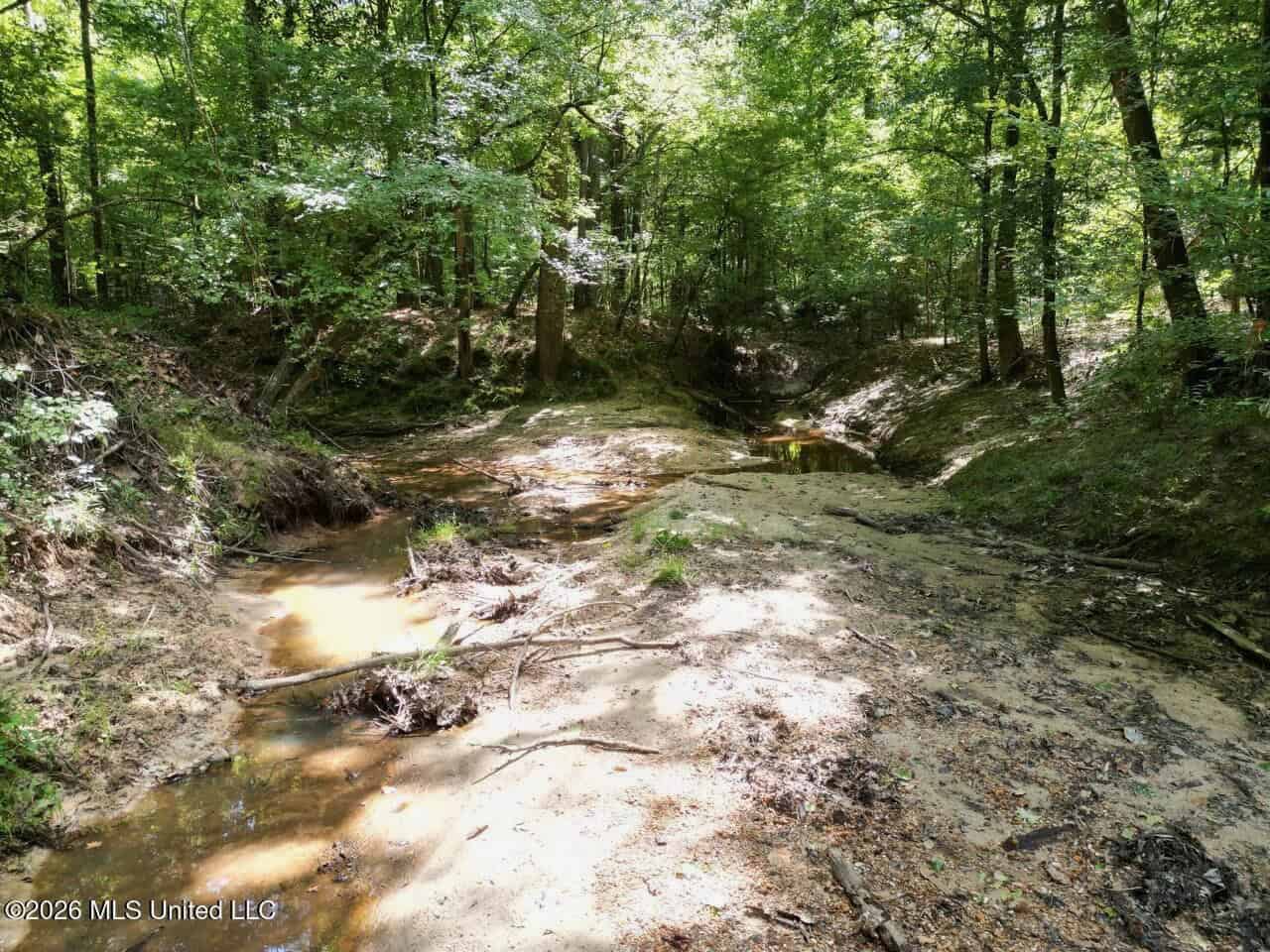 45± Acres in Aimwell, LA with Ford Creek Frontage