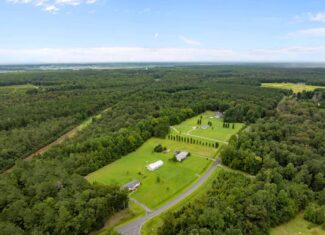 115 Acres of Hunting & Timberland for Sale in NC
