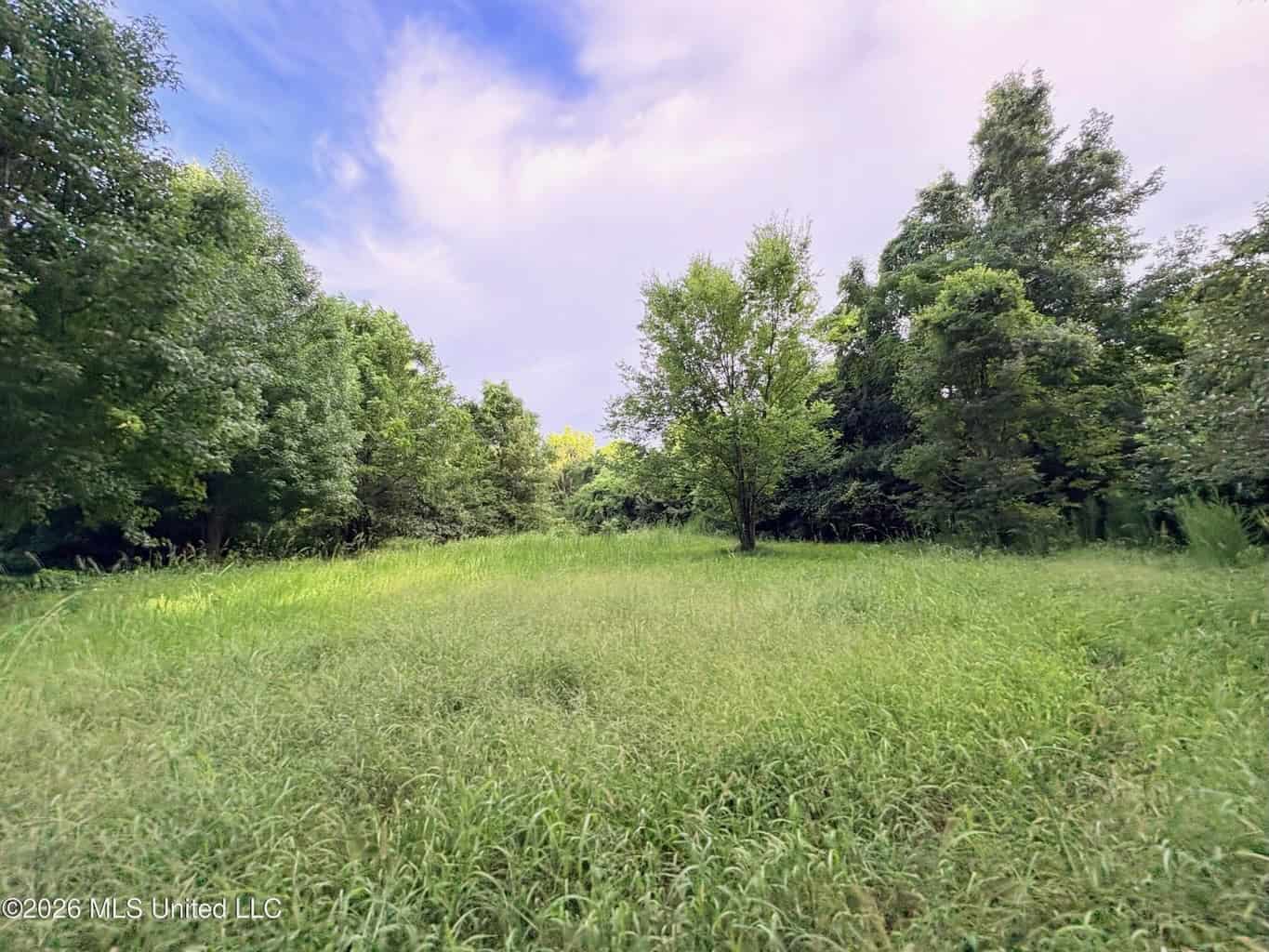 57 Acres Hunting Land for Sale in Gloster MS