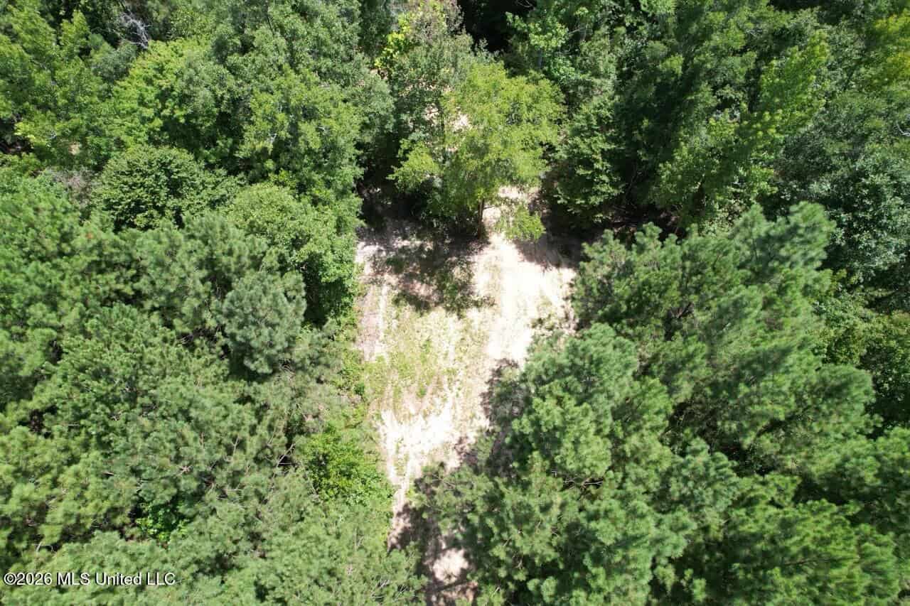 11± Acres in McCall Creek, MS with Creek Frontage