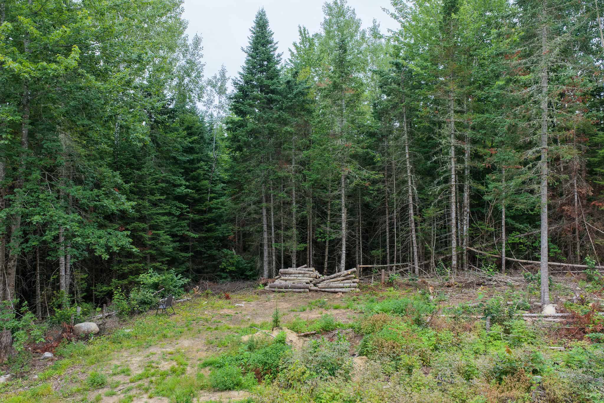 29.5 Acre Private Lot – Springfield, Maine