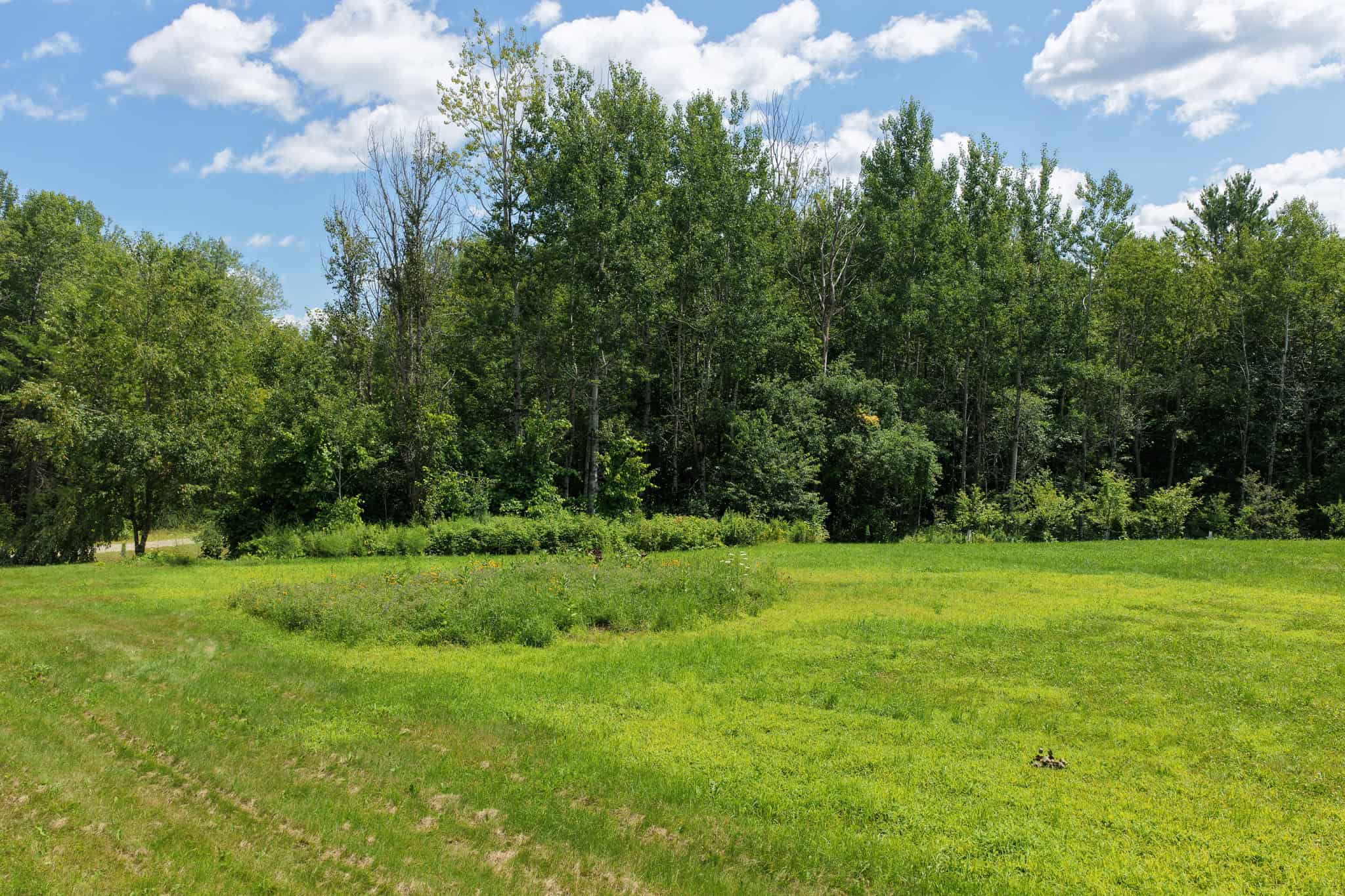 Rural Maine Homestead with 14 Acres