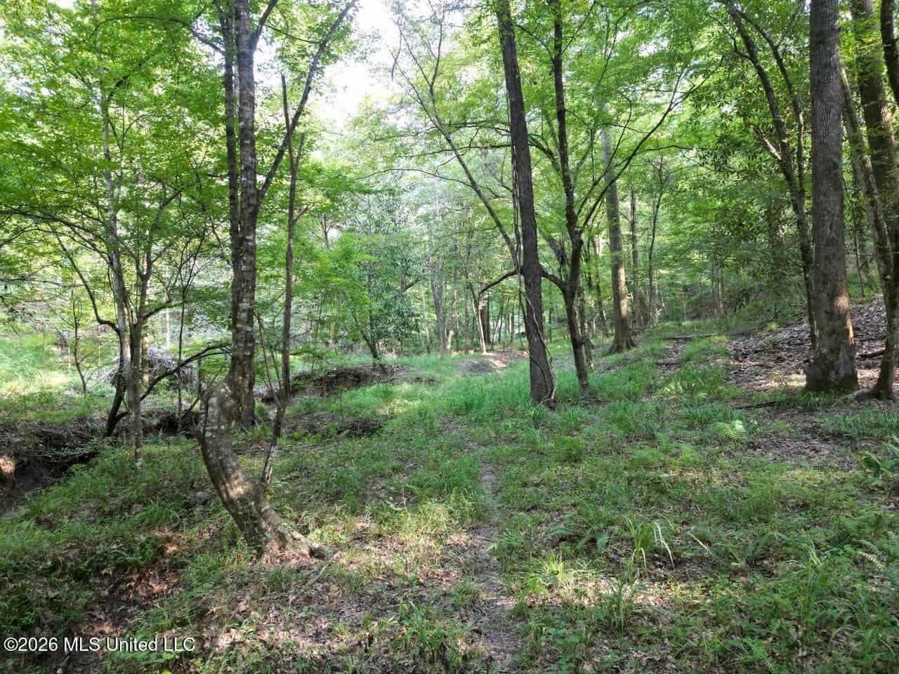 375± Acres in Jefferson County, MS Near Natchez Trace