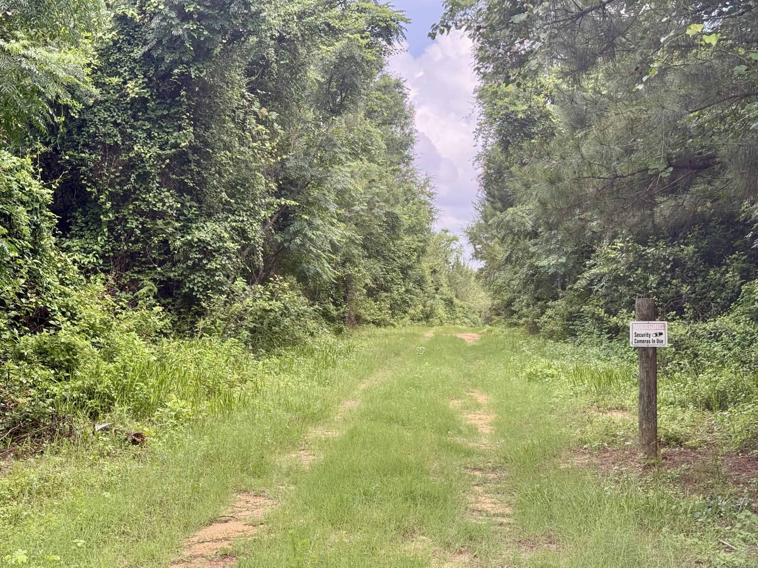 130 Acres on the Chipola River | Hunting, Fishing & Recreation