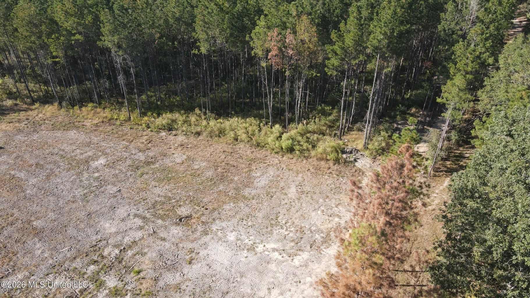 35 Acres for Sale in Pelahatchie, MS | Rankin County