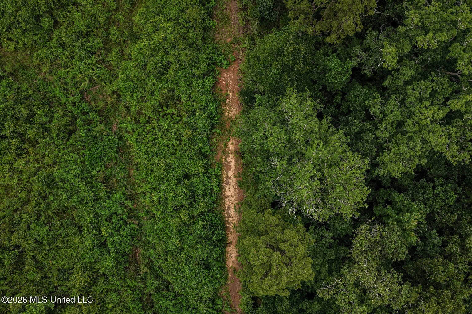 63.75 AC Amite County, MS Hunting Property