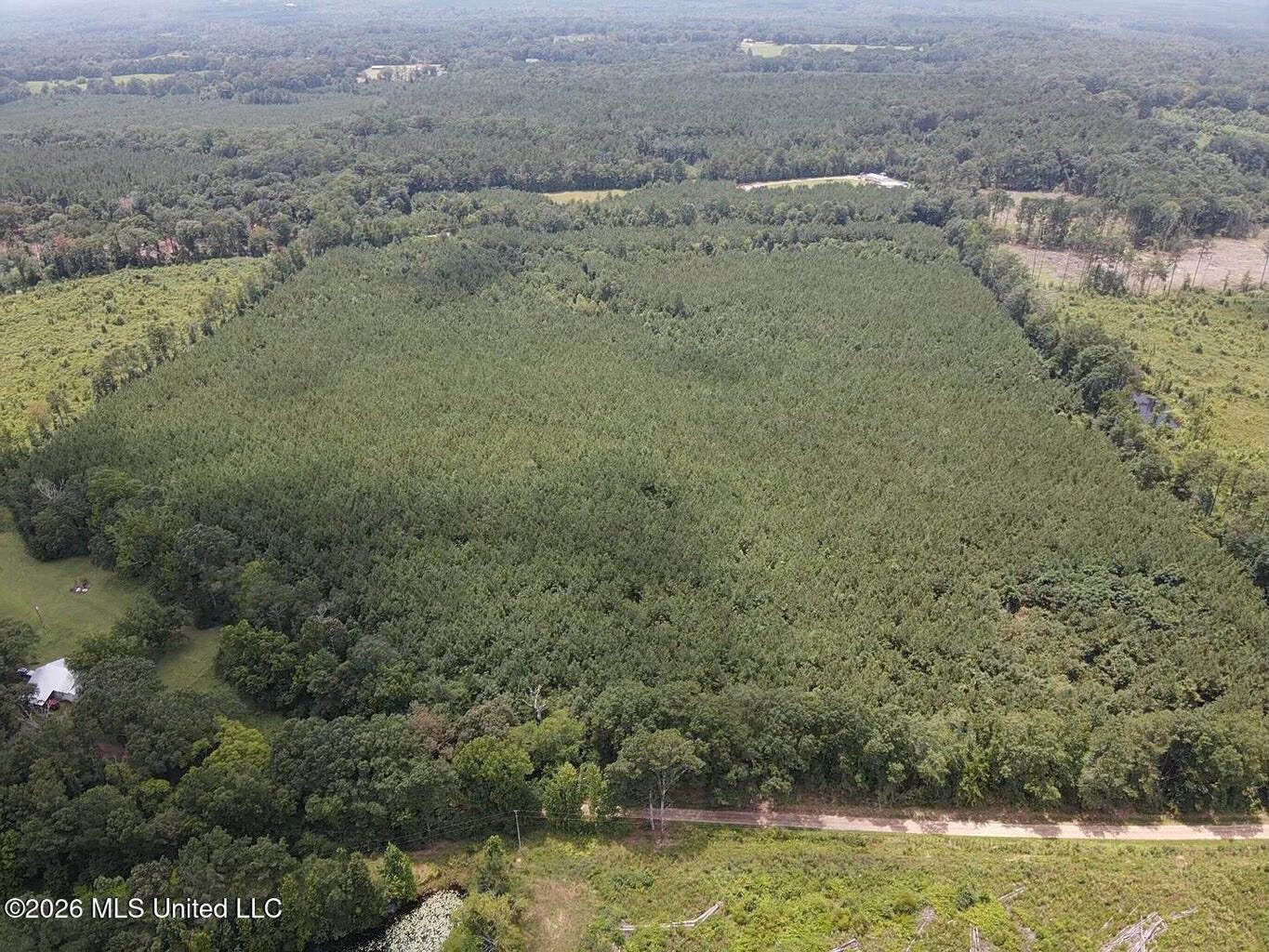 37 Acres for Sale in Morton, MS | Wooded Land