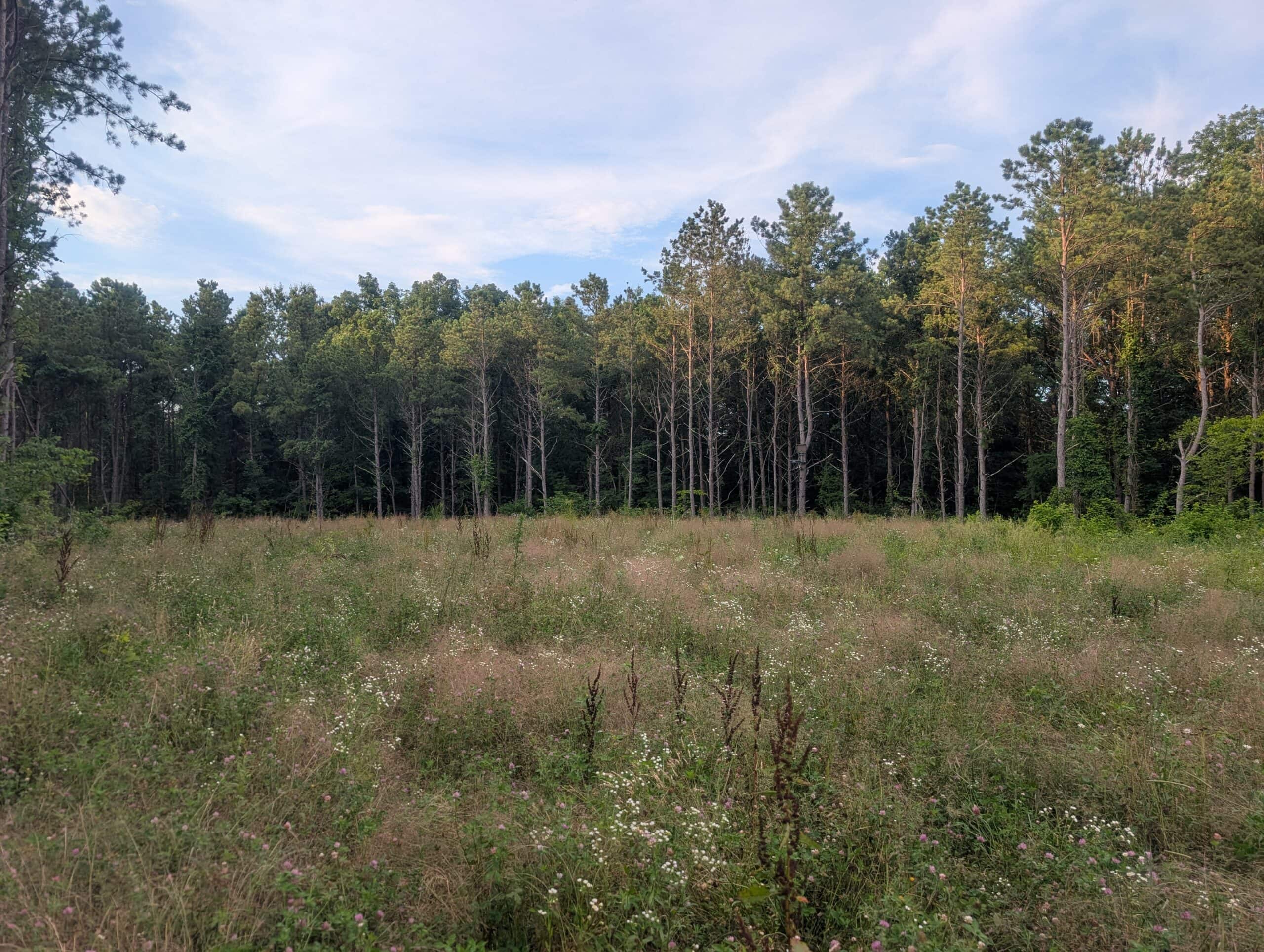 Secluded Turnkey Hunting Property