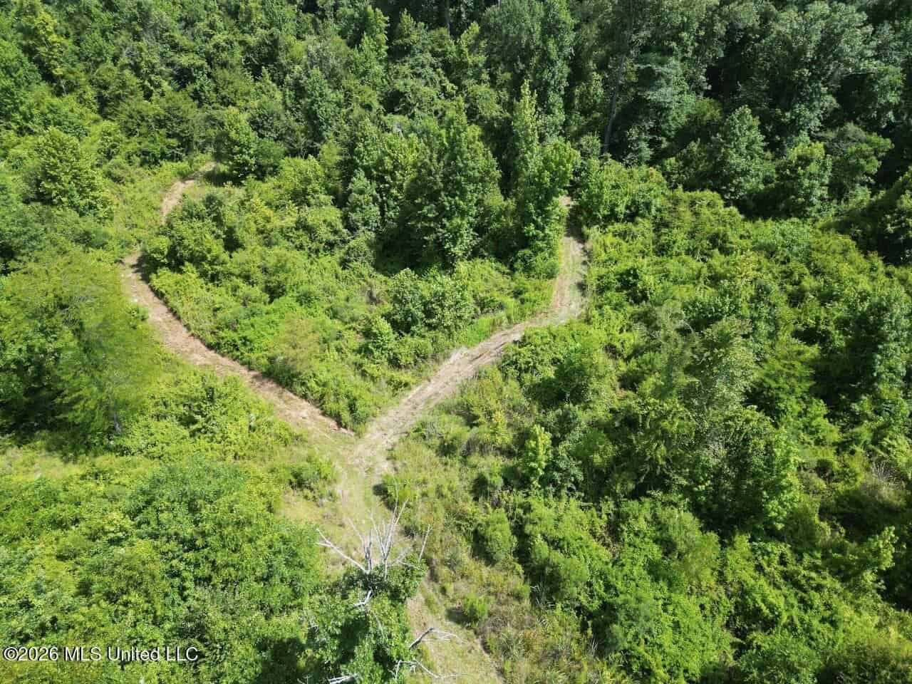 45± Acres in Aimwell, LA with Ford Creek Frontage