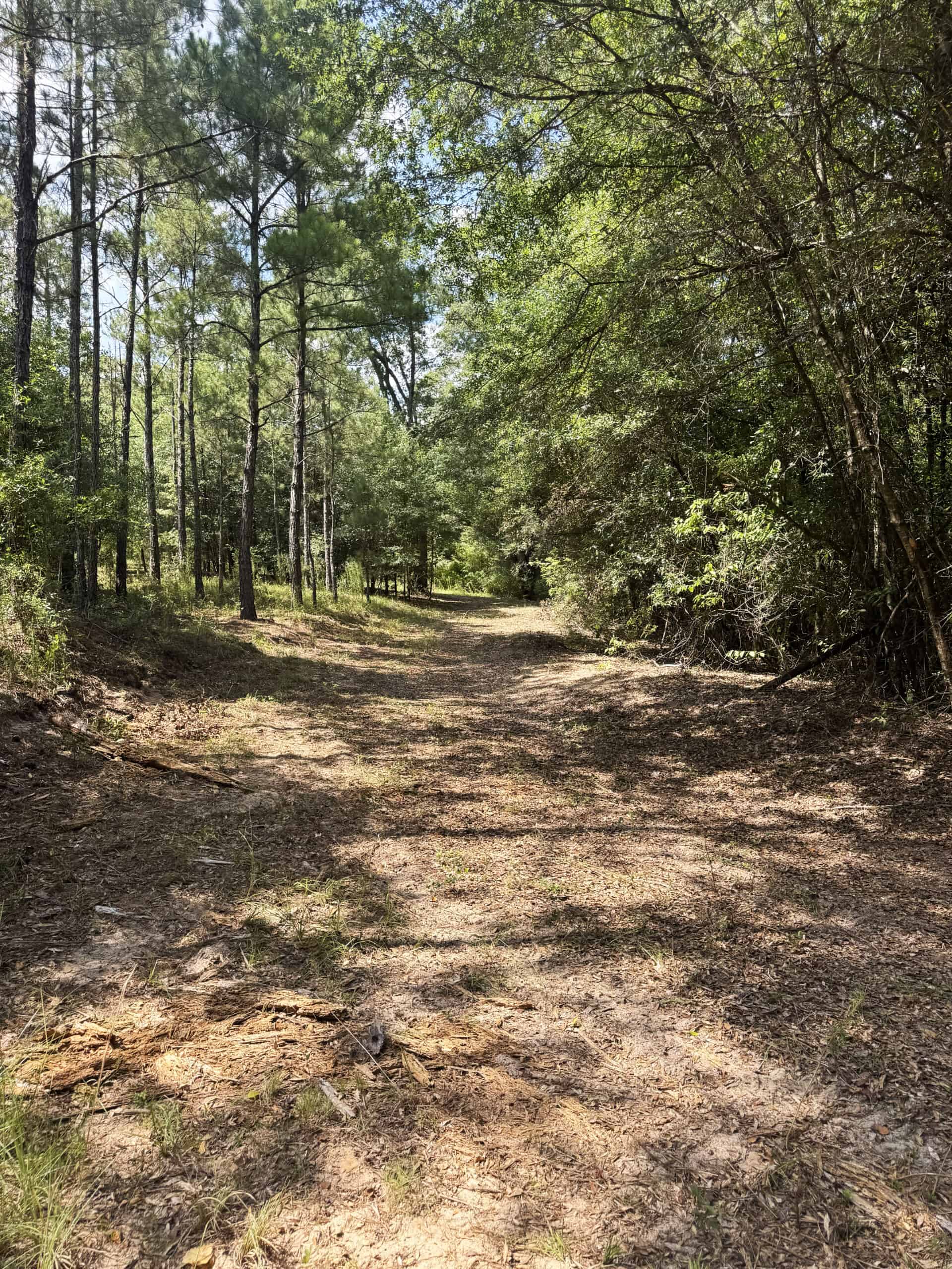 Cotton House Tract: premier 545ac hunting & recreational property in Randolph Cty