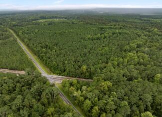 153-Acre Timberland for Sale in Edward, NC