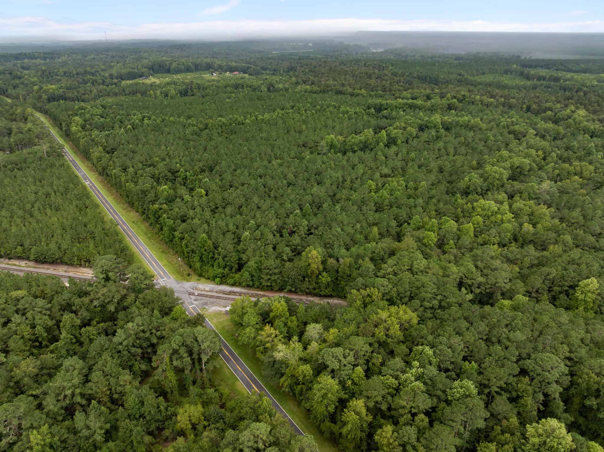 153-Acre Timberland for Sale in Edward, NC