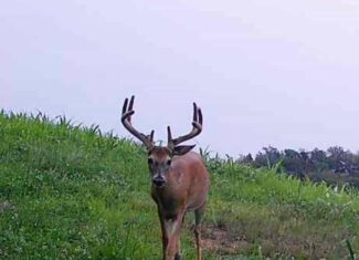 Monroe County 19 +/- Acre Farm/Hunting Land with remodeled farmhouse & Bank barn