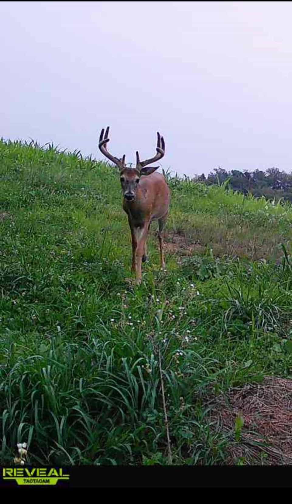 Monroe County 19 +/- Acre Farm/Hunting Land with remodeled farmhouse & Bank barn