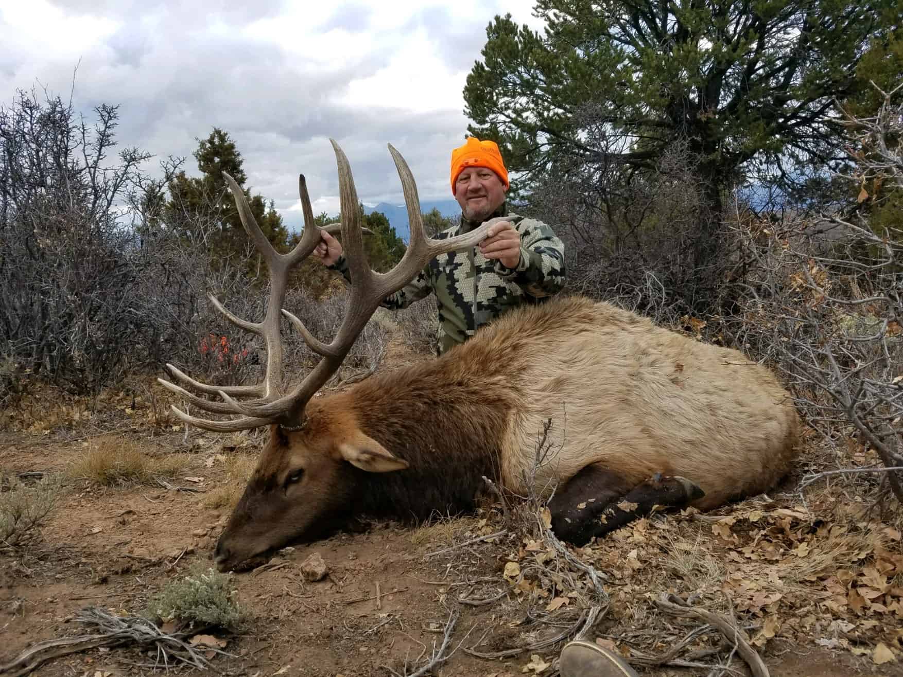 Colorado Wilderness Elk Hunting Outfitting Business for Sale