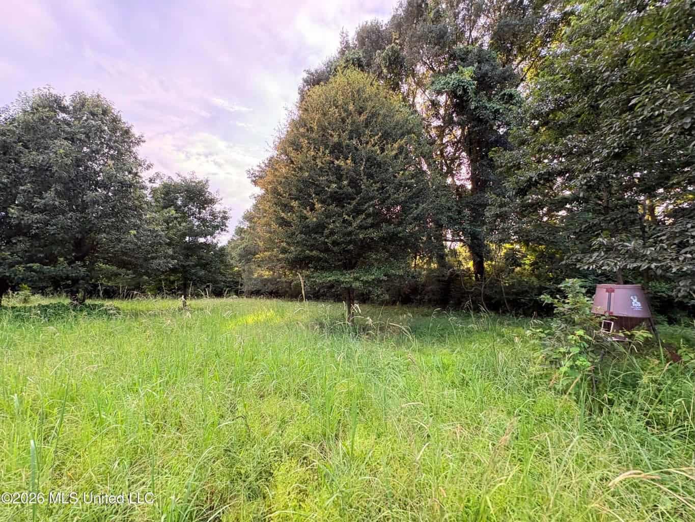 57 Acres Hunting Land for Sale in Gloster MS