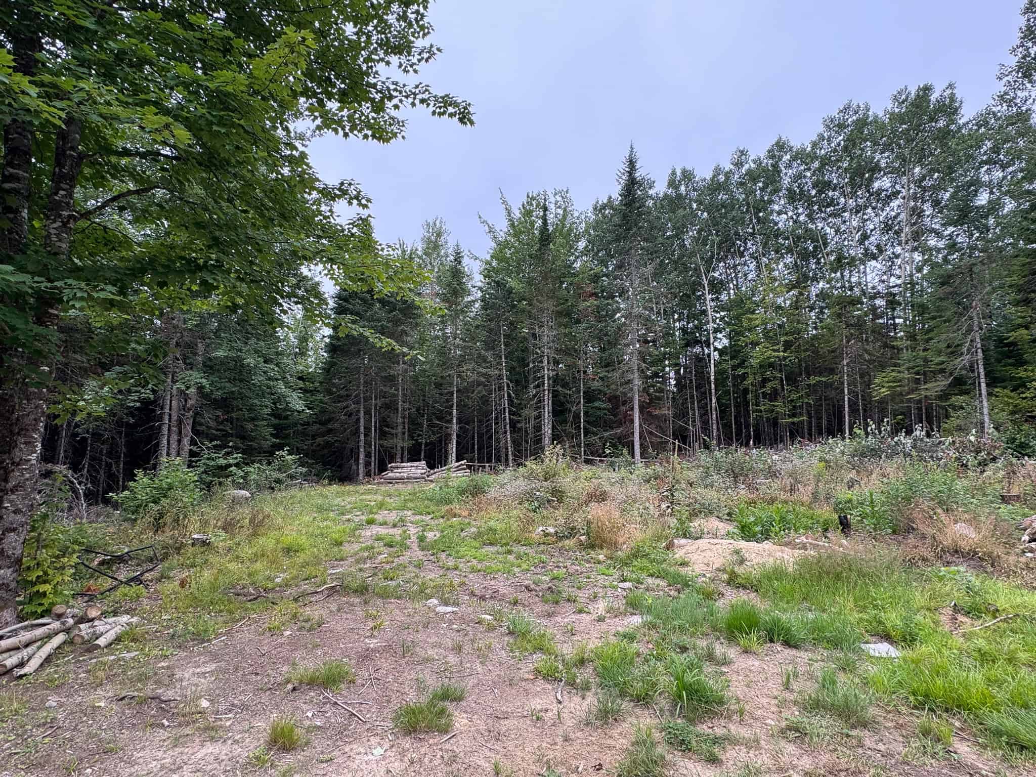 29.5 Acre Private Lot – Springfield, Maine