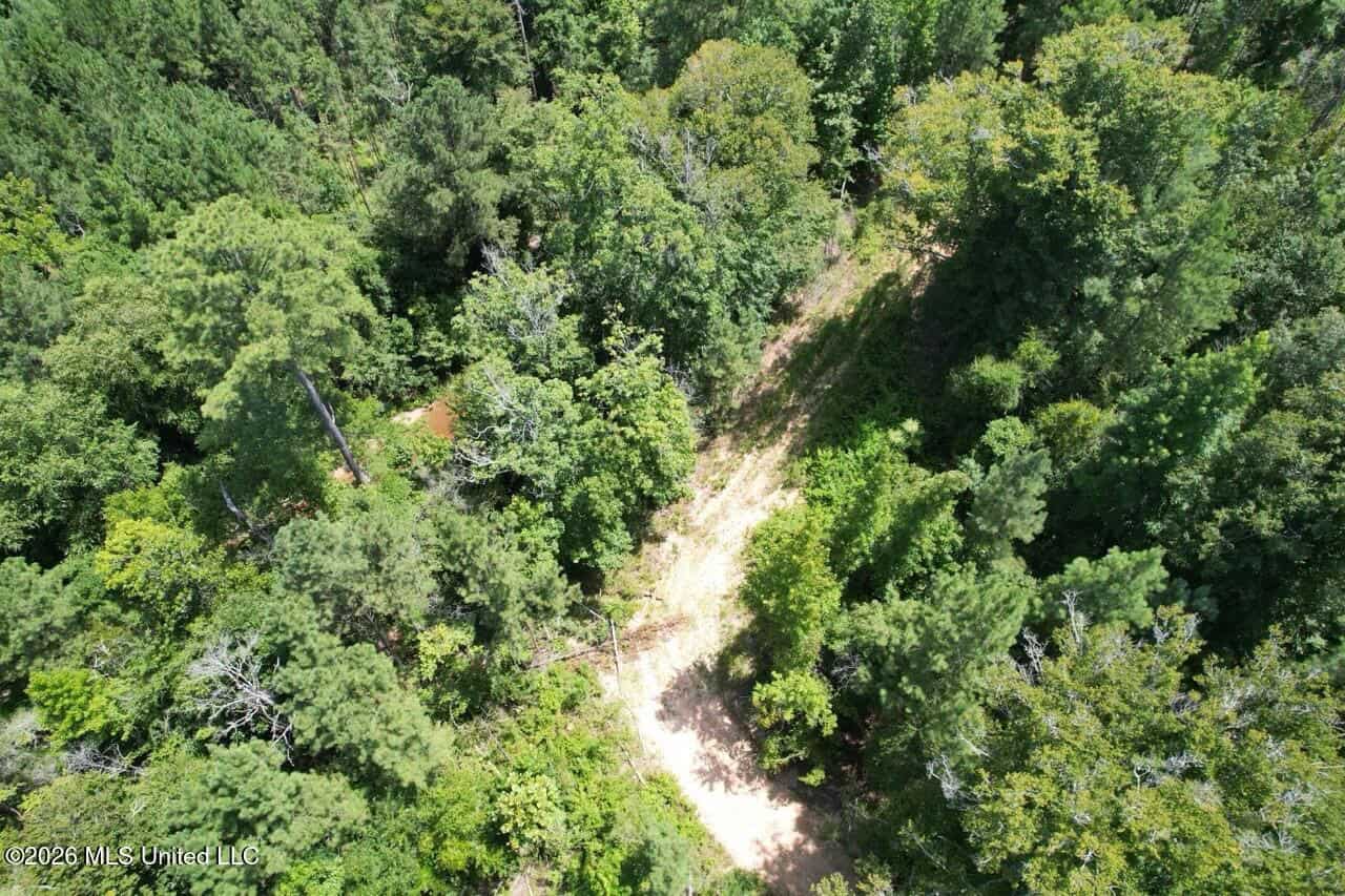 11± Acres in McCall Creek, MS with Creek Frontage