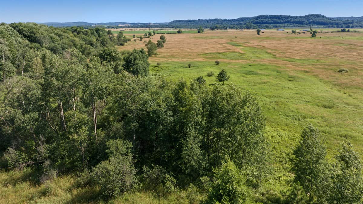 Wisconsin Conservation Land for Sale | 97± Acres in Monroe County