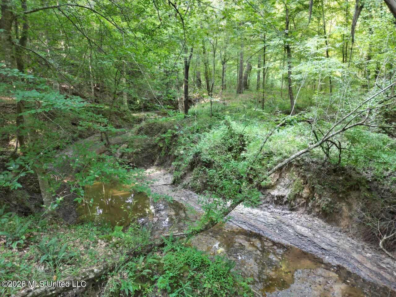 375± Acres in Jefferson County, MS Near Natchez Trace