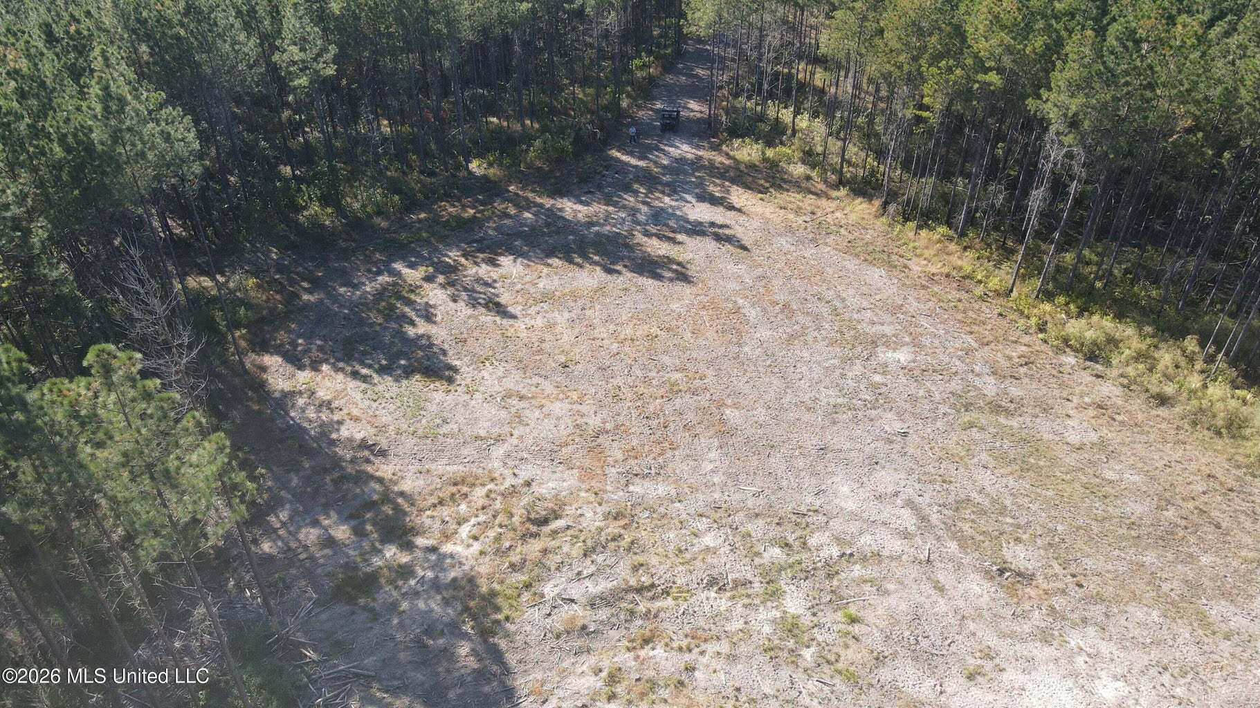 35 Acres for Sale in Pelahatchie, MS | Rankin County