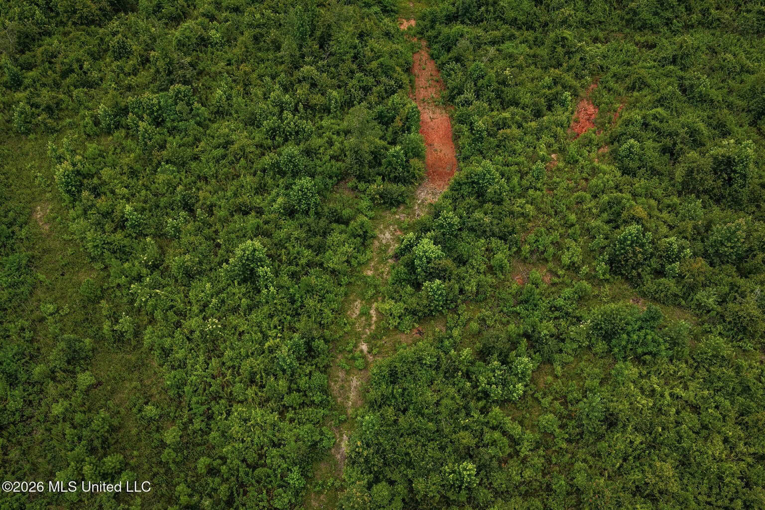 63.75 AC Amite County, MS Hunting Property