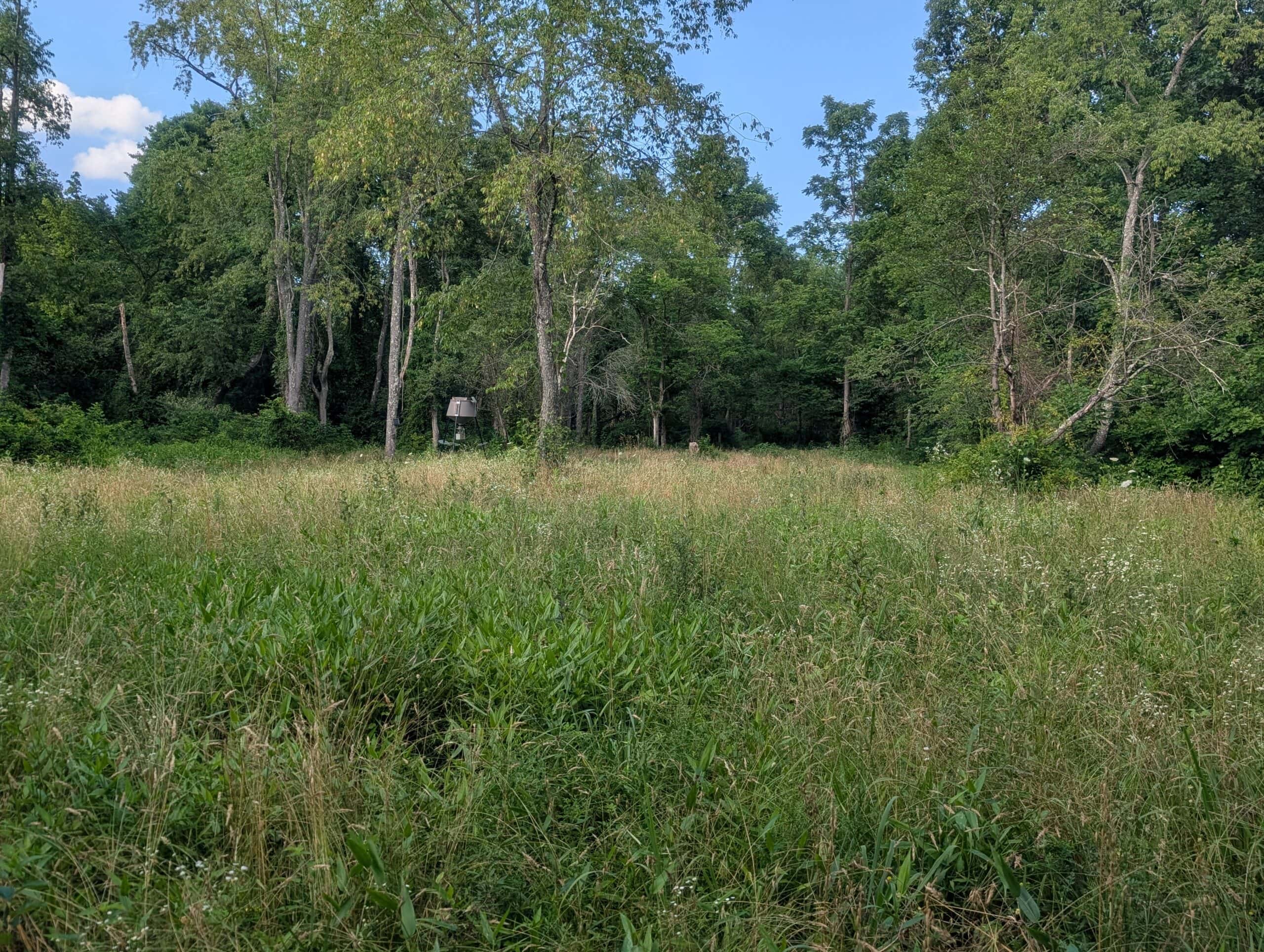 Dream Turnkey Morgan County Hunting Property