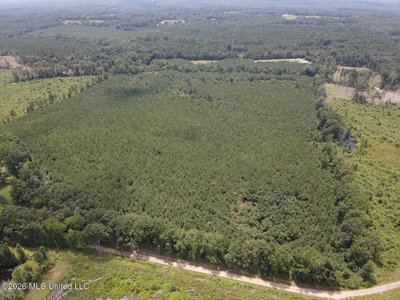 37 Acres for Sale in Morton, MS | Wooded Land